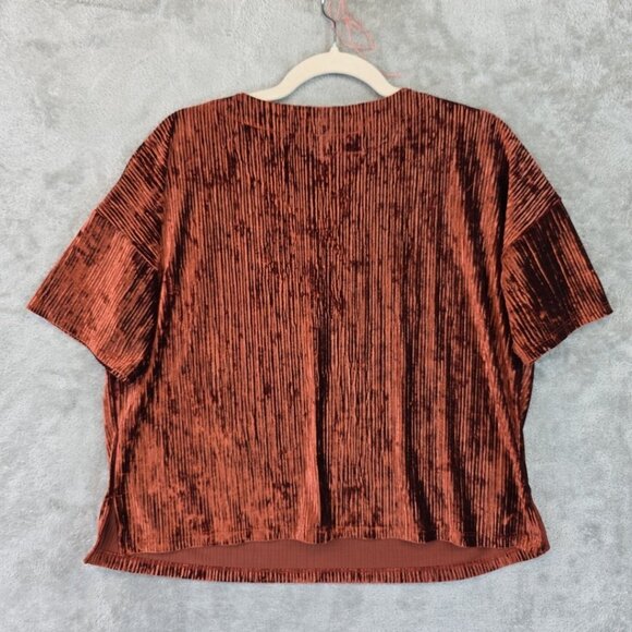 Banana Republic Crinkle Velvet Top Women's S Muir Wood Relaxed Drop Shoulders - Picture 2 of 9